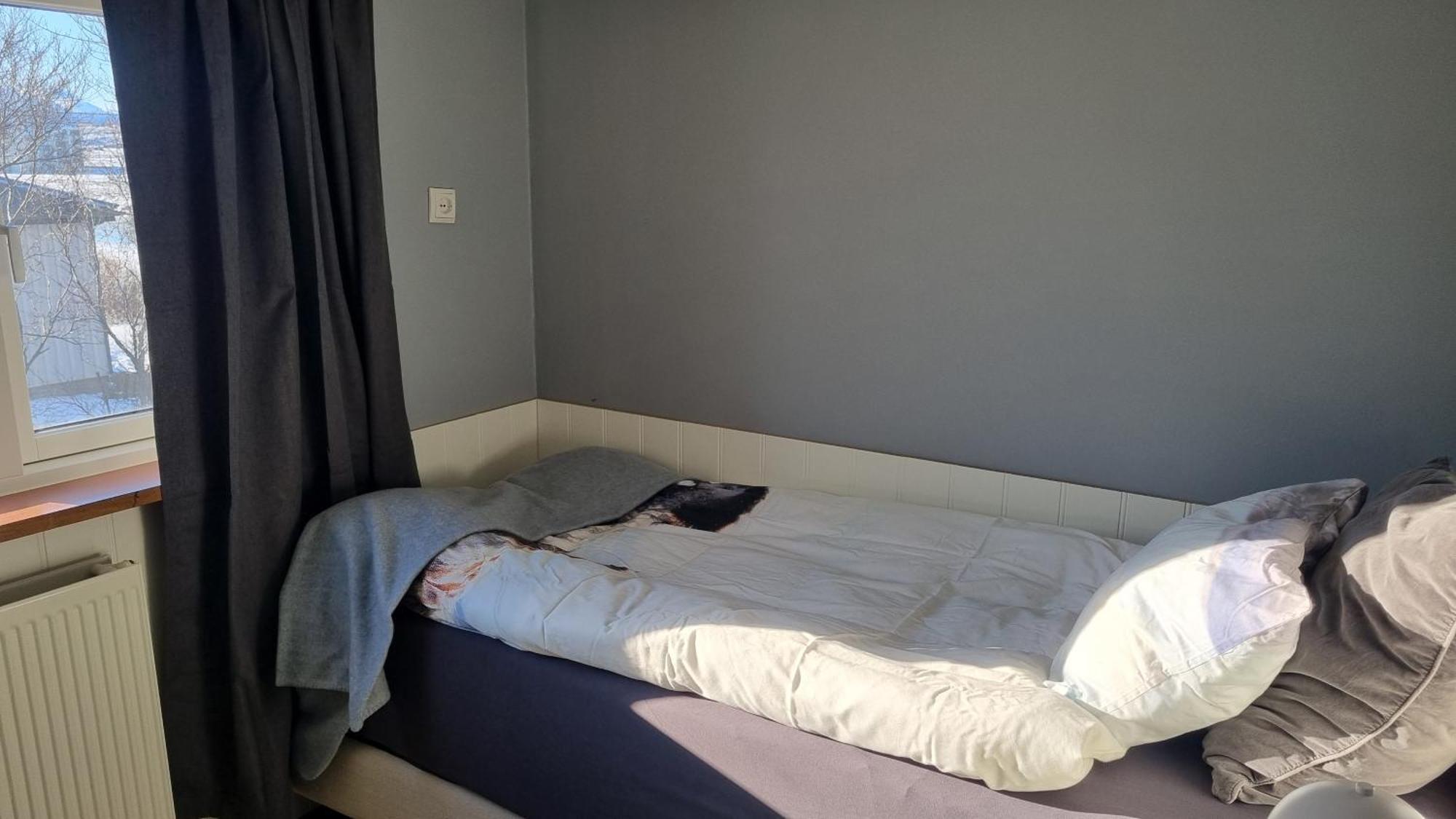 Fornilaekur Guesthouse Blonduos Dış mekan fotoğraf